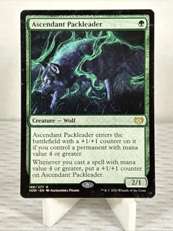 Ascendant Packleader - Innistrad: Crimson Vow - Magic - MTG - Image 1