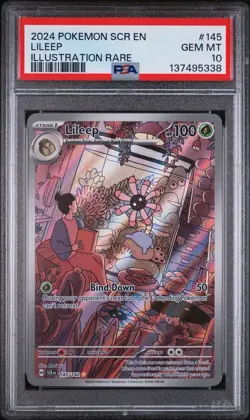 PSA 10 Lileep Illustration Rare 145/142 Pokemon Stellar Crown Gem Mint - Image 1