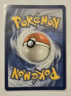 Chatot 181/162 Illustration Rare Temporal Forces Pokemon TCG & Bonus Card - Image 3