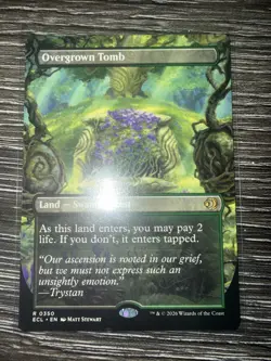 Overgrown Tomb (Borderless) Lorwyn Eclipsed Regular - Image 1