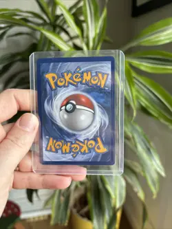-Mega Scrafty EX 270/217- Ascended Heroes Mega Attack Rare - NM - Pokemon TCG - Image 3