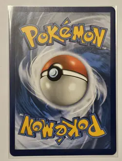 Team Yell Grunt 210/202 Secret Rare Sword & Shield Pokemon TCG & Bonus Card - Image 3