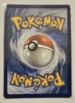 Lana's Aid 207/167 Full Art Twilight Masquerade Holo Pokemon TCG & Bonus Card - Image 3