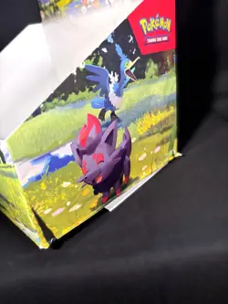 Pokemon TCG Card Ascended Heroes Mini Tins DISPLAY BOX ONLY - Image 3