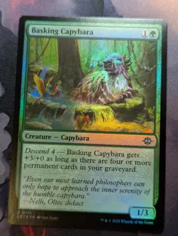 Basking Capybara - LCI - 0175 - MTG - TCG Card - FOIL - Image 1