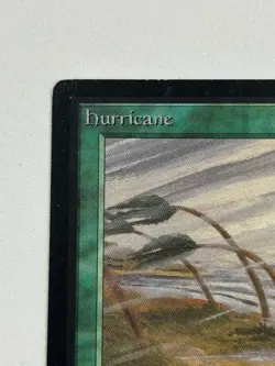Hurricane - Beta Edition 1993 - MTG card [NM/LP] - Image 2