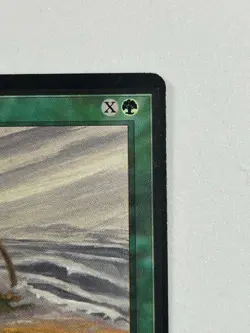 Hurricane - Beta Edition 1993 - MTG card [NM/LP] - Image 3