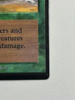 Hurricane - Beta Edition 1993 - MTG card [NM/LP] - Image 4