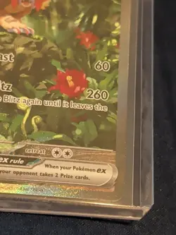 Gouging Fire Pokemon Temporal Forces SIR 204/162 - Image 4