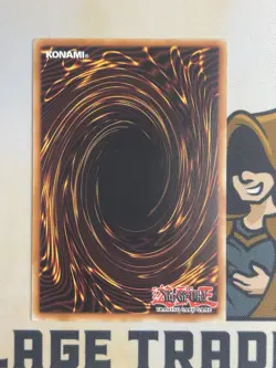 Darknight Parshath PTDN-EN082 Ultimate Rare 1st Edition YuGiOh! NM EURO Print - Image 4