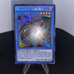 Yugioh Paladin of Dark Dragon DRL2-EN018 1. Edition Secret Rare EXZ - Image 2