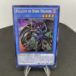 Yugioh Paladin of Dark Dragon DRL2-EN018 1. Edition Secret Rare EXZ - Image 3