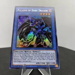 Yugioh Paladin of Dark Dragon DRL2-EN018 1. Edition Secret Rare EXZ - Image 4