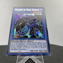 Yugioh Paladin of Dark Dragon DRL2-EN018 1. Edition Secret Rare EXZ - Image 5