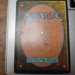 MTG Legends - Land Tax - Image 2