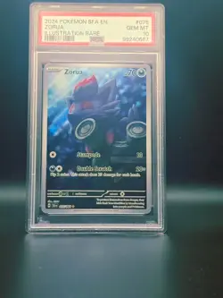 PSA 10 Zorua #075 Pokemon Shrouded Fable English 2024 - Image 1