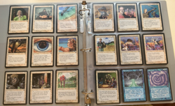 Magic The Gathering Homelands Complete Set M/NM/LP MTG 140 Cards TCG 1995 - Image 2