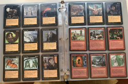 Magic The Gathering Homelands Complete Set M/NM/LP MTG 140 Cards TCG 1995 - Image 5