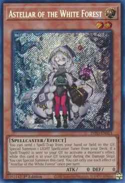 Near Mint, English - 1 x MTG Astellar of the White Forest - INFO-EN013 - Secret - Image 1