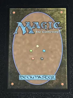 MTG Teenage Mutant Ninja Turtles Spicy Oatmeal Pizza Foil 0109 NM - Image 2