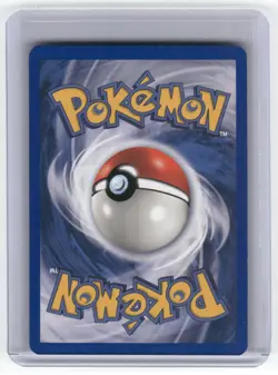 Mudkip Dragon Common Pokemon Near Mint or Better - Image 2