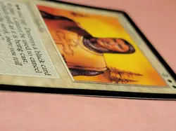 Northern Paladin Beta MTG MAGIC GATHERING 1993 Douglas Shuler limited edition - Image 4