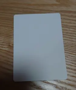 Swords To Plowshares Artist Proof Spanish Ice Mtg - Image 2