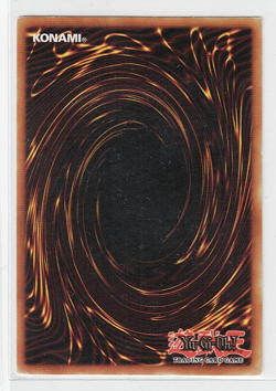 Donnerdrache Thunder Dragon - MRD-097 - NM - YuGiOh - Image 2