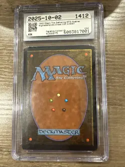 Magic The Gathering MTG SERENDIB EFREET Arabian Nights Mint Graded CGC 9 - Image 2