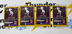 1999 Pokemon First Movie Set Sealed Vintage WB Black Star Promo Cards Dragonite - Image 1
