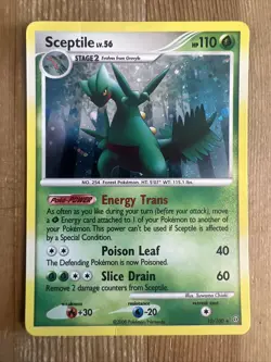 Pokemon TCG Sceptile 10/100 Stormfront Holo Rare MP - Image 1