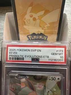 2025 POKEMON SVP EN SV BLACK STAR PROMO 173 EEVEE PRISMATIC EVOLUTION ETB PSA 10 - Image 4