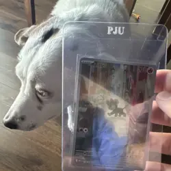 🐶Pokemon Litleo 139/132 Me01 Mega Evolution Full Art Rare Fire Basic 70HP - Image 1