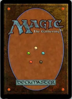 Magic | APC | Yavimaya Coast | 143 | LP - Image 2