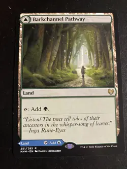 MTG - NM -Barkchannel Pathway / Tidechannel Pathway - Kaldheim - Image 1