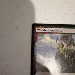 MTG English Wooded Foothills NM Normal Zendikar Rising Expeditions - Image 4