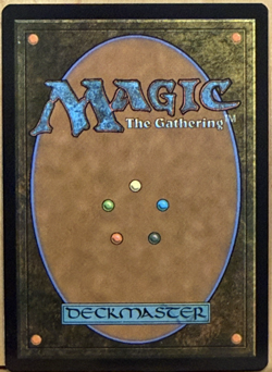LIMITED EDITION Lord of the Rings MtG Asceticism Unplayed NM - Image 2