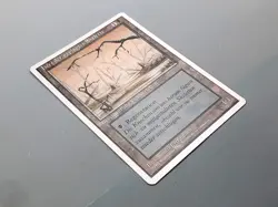 MTG - 4.ED. UNLIMITED (FWB/'95) - DRUDGE SKELETONS - HEER D.G.S./MISSPRINT!!/NM - Image 3