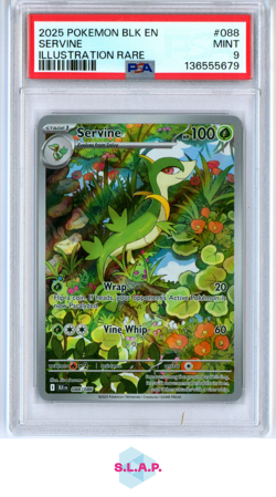 SERVINE ILLUSTRATION RARE POKEMON BLK EN-BLACK BOLT 2025 088 PSA 9 - Image 1