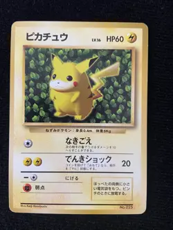 Pokemon Card Ivy Pikachu No. 025 Non Glossy Keiji Kinebuchi Promo - Image 1