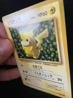 Pokemon Card Ivy Pikachu No. 025 Non Glossy Keiji Kinebuchi Promo - Image 3
