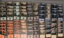 MTG 80 Time Spiral Basic Land Card Lot.All Full Playsets As Shown. - Image 1