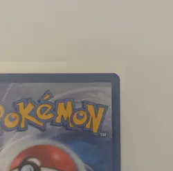 2019 Armored Mewtwo SM228 English Pokemon Promo Collection Chest - Image 5