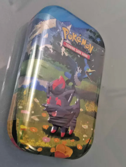 Pokemon - Ascended Heroes - Mini Tin - Zorua & Cramorant - New and Sealed - Image 2