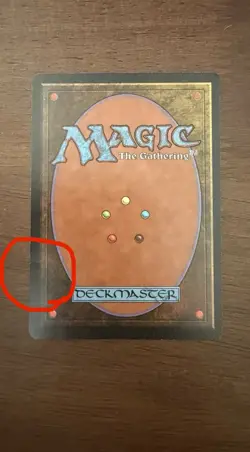 Magic the Gathering 1994 Bayou Revised Edition Rare Dual Land - Image 5