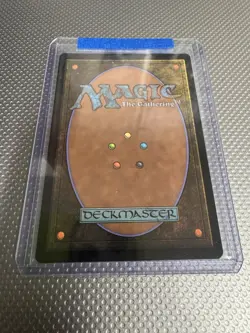 MTG Tom Bombadil. Foil Borderless Poster. Lord of the Rings. Pack Fresh - Image 3