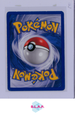RAIKOU EX POKEMON 92 2004 EX TEAM MAGMA VS. TEAM AQUA ULTRA RARE HOLO GERMAN - Image 2