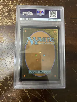 2025 MTG MARVEL'S SPIDER-MAN SCENE BORDERLESS-FOIL MULTIVERSAL PASSAGE PSA 10 - Image 2