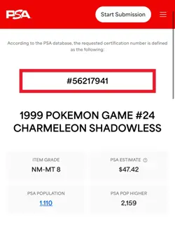 Charmeleon Shadowless - PSA 8 - Pokemon 1999 Base Set 024/102 - Image 4