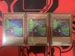 3x Radiant Typhoon Krosea DOOD-EN015 1st Edition Playset - Image 1
